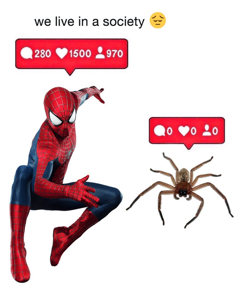 modelo de homem-aranha e aranha