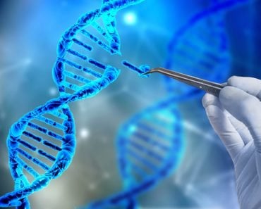 CRISPR, DNA