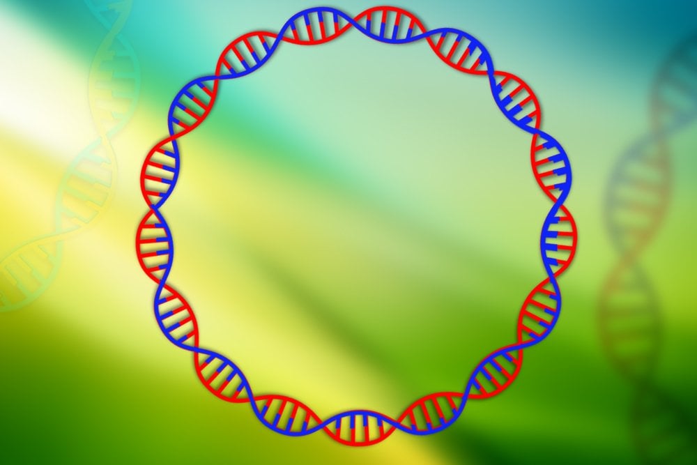 plasmid, dna , circle