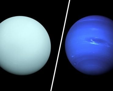 uranus and naptune