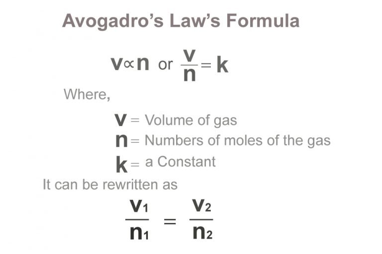 state avogadro's hypothesis class 11