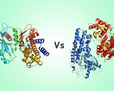 Glucokinase vs Hexokinase