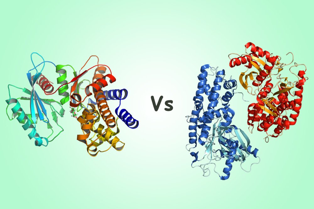 Glucokinase vs Hexokinase