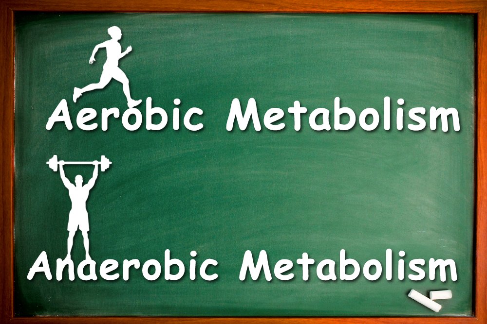 aerobic vs anaerobic