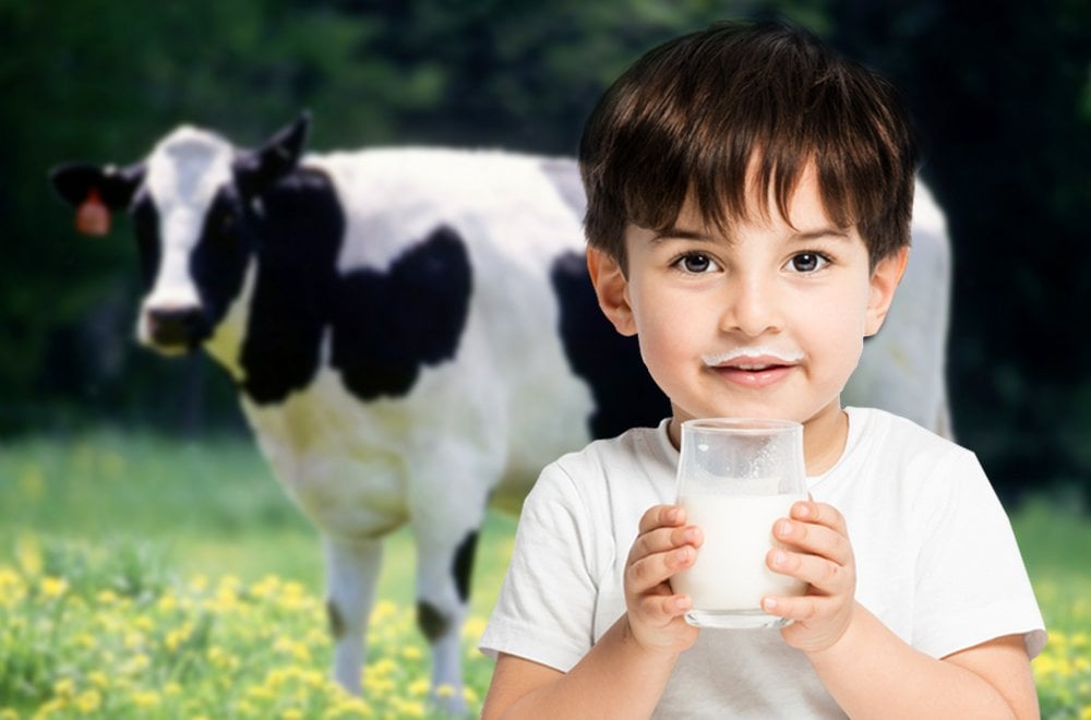 Are Humans The Only Species to Drink Milk from Other Animals (Species)?