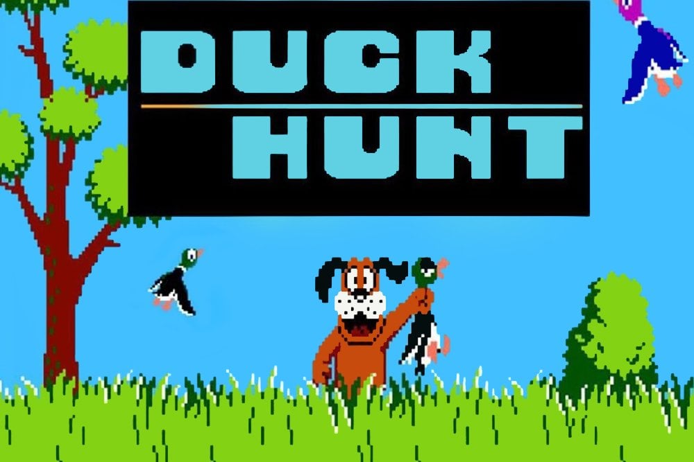 duck hunt game