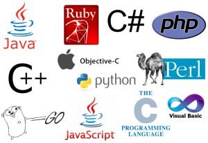 Why There Are So Many Programming Languages?