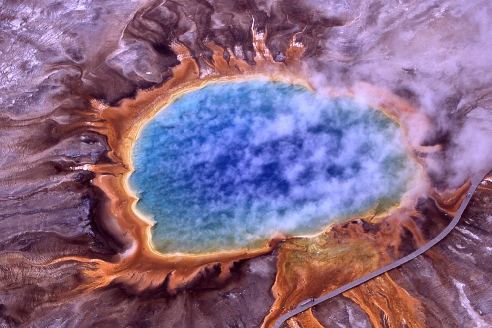 Archaea Definition, Characteristics And Examples