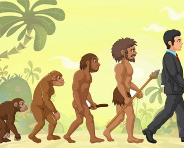 human evolution