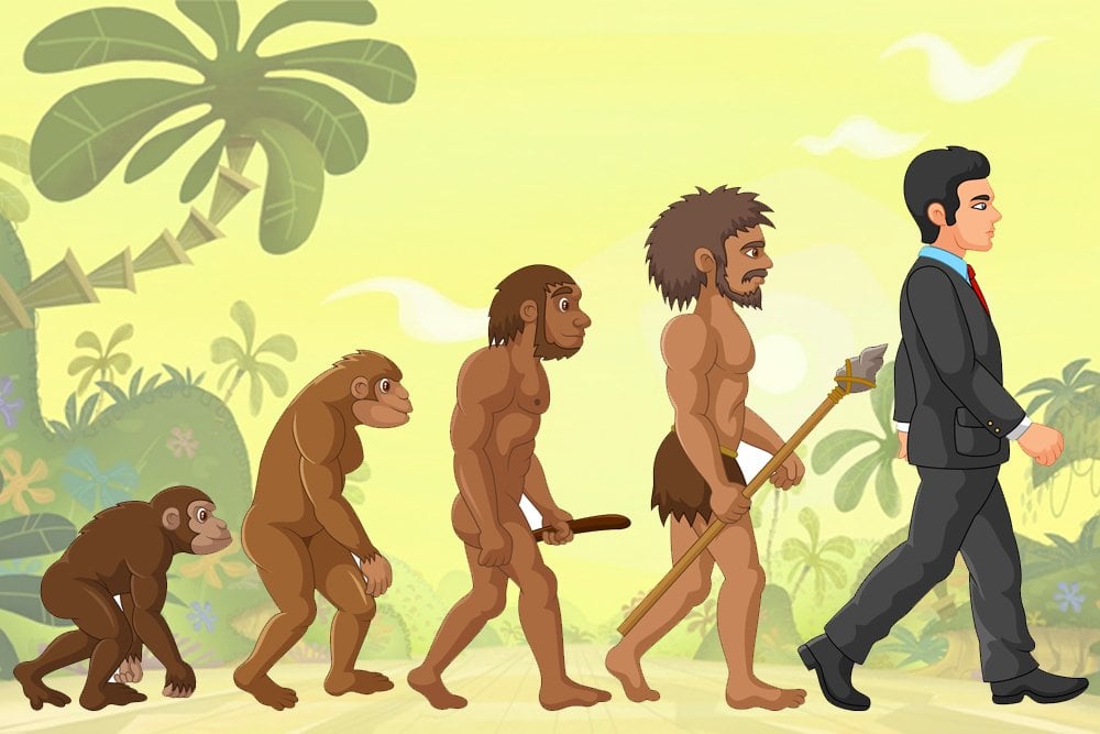 human evolutionary timeline