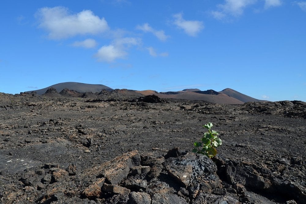 volcanic soil