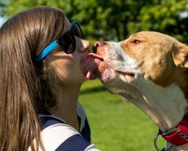 dog lick people