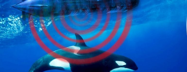 Military Sonar