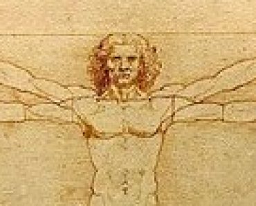 vitruvian man image