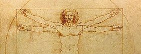 vitruvian man image