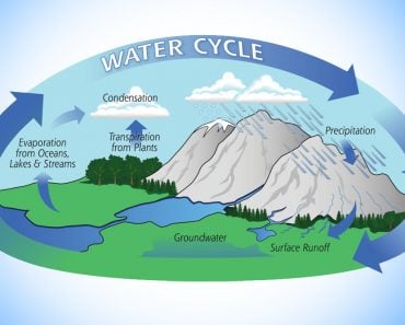 water cycle