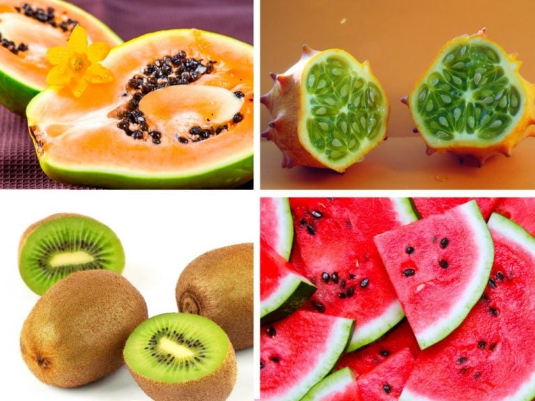 Fruit Ripening How Do Fruits Ripen