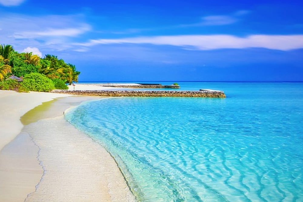 ocean, beach, nature, water