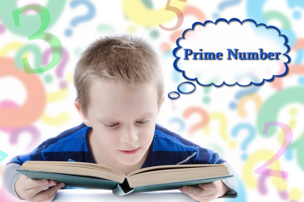 prime number