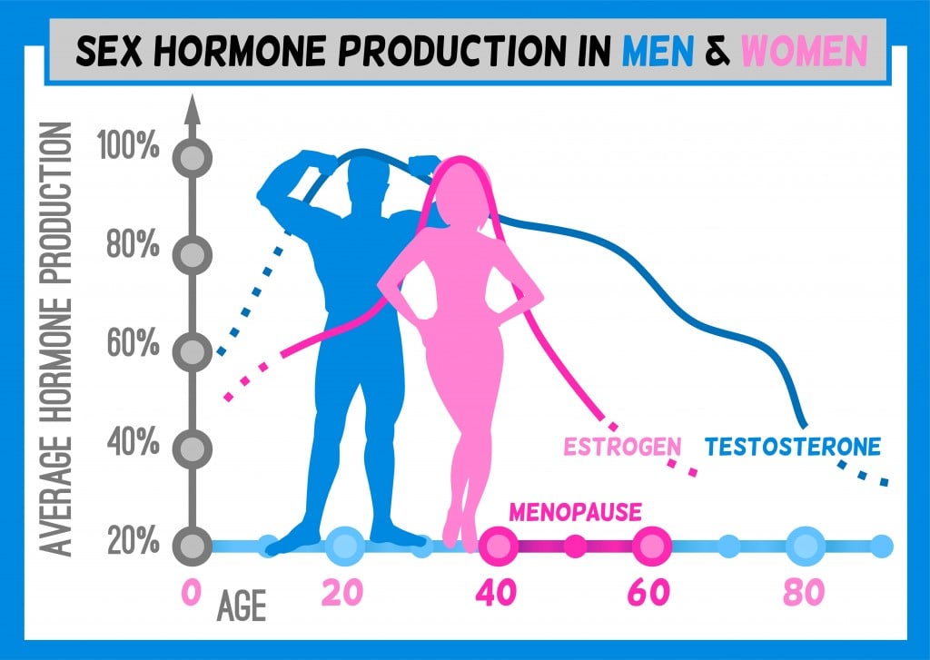 Enzymes vs Hormones: What Are The Differences Between The Two?