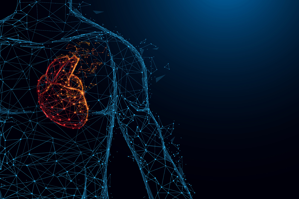 Human heart anatomy form lines and triangles, point connecting network on blue background. Illustration vector - Vector(piick)s