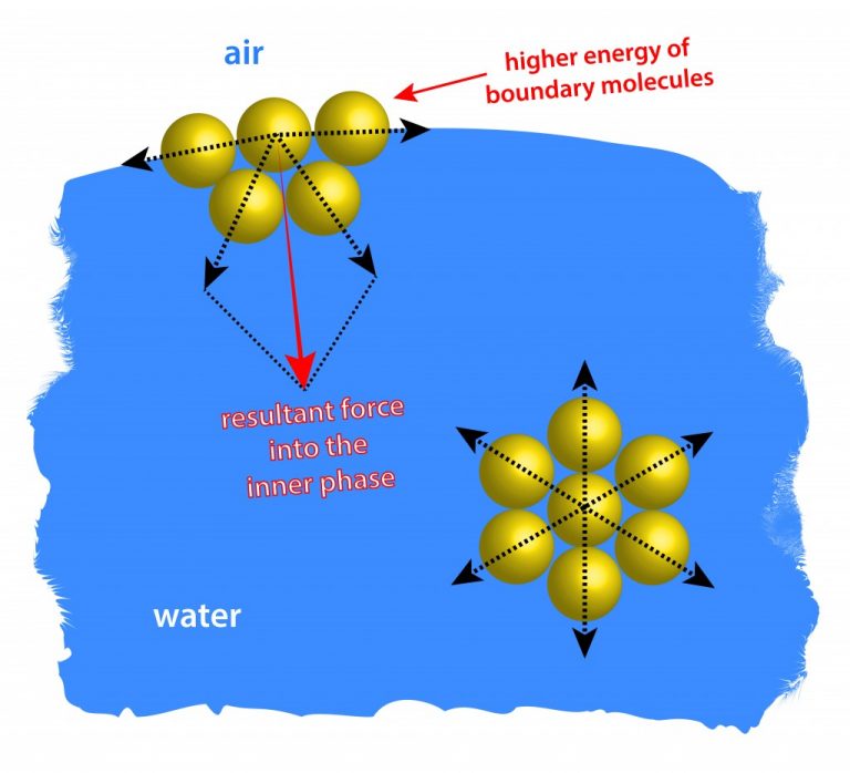 Surface Tension Definition, Explanation, Examples And Significance