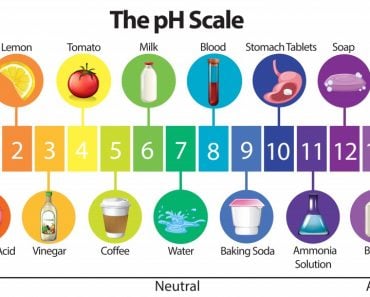 An Education Poster of pH Scale illustration - Vector(BlueRingMedia)s