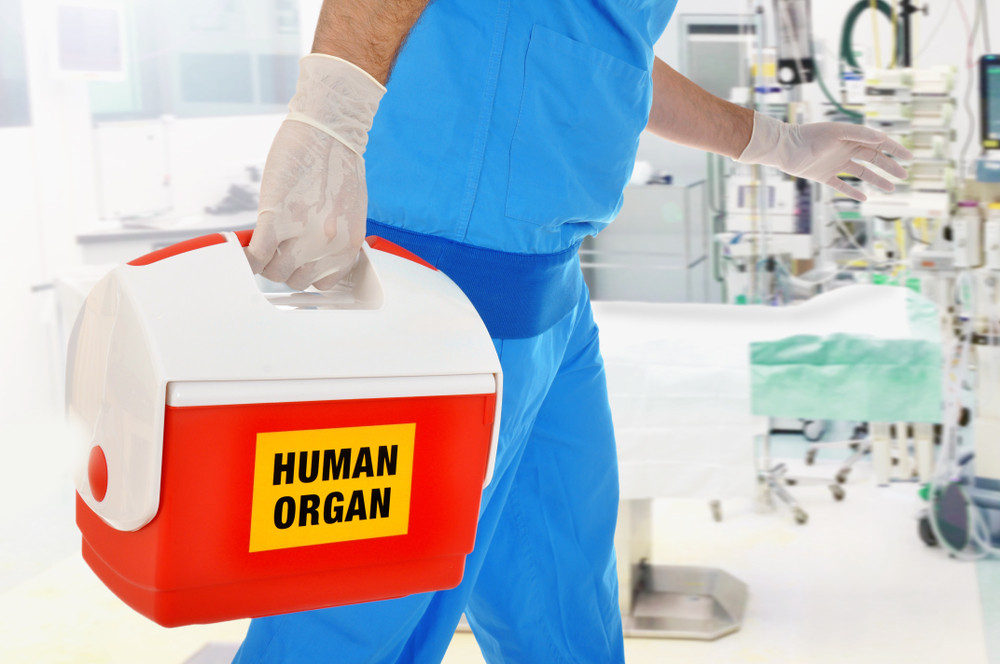 What Is The Shelf Life Of Organs For Donation?