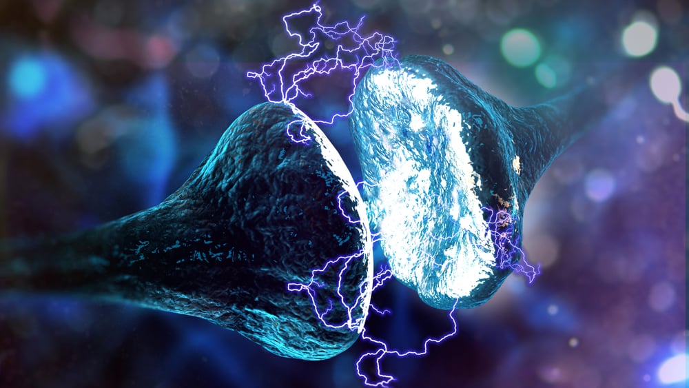 How Do Neurons Generate Electricity Inside Our Brain?