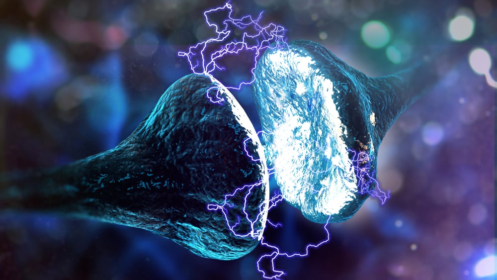 Synapse and Neuron cells sending electrical chemical signals (3D illustration) - Illustration( Andrii Vodolazhskyi)s