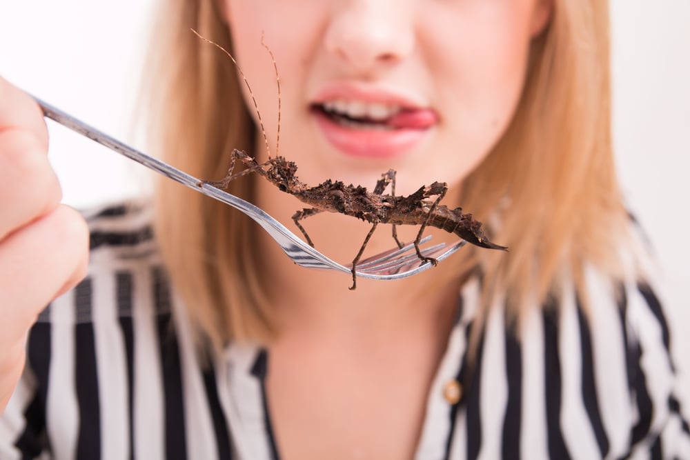 Woman eating big insects with a fork in a restaurant - Image( Michal Ludwiczak)s