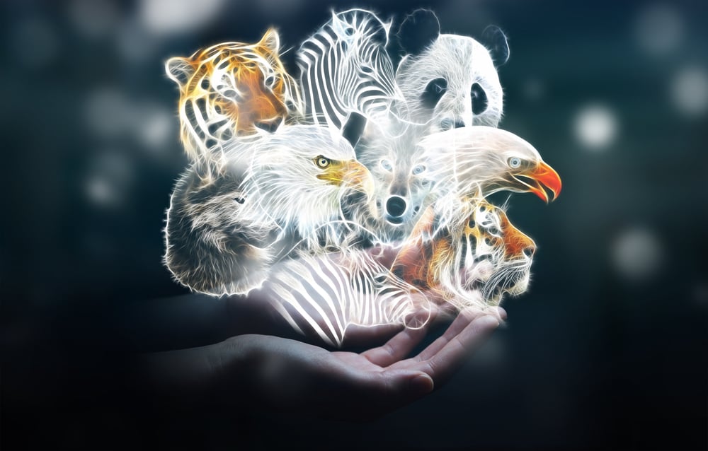 Person holding in his hand fractal endangered animal illustration 3D rendering - Image(sdecoret)s