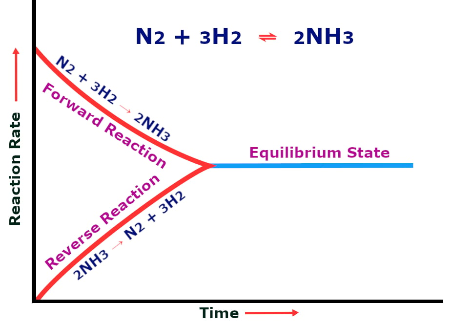 Haber Process Flow Chart