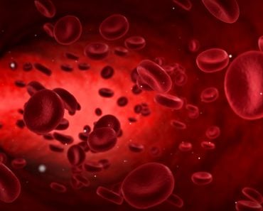 red blood cells in an artery, flow inside body, medical human health-care - Illustration(donfiore)s