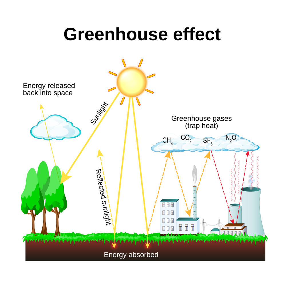 What Makes Certain Gases Greenhouse Gases   U00bb Science Abc