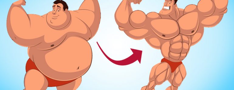 fat to muscle