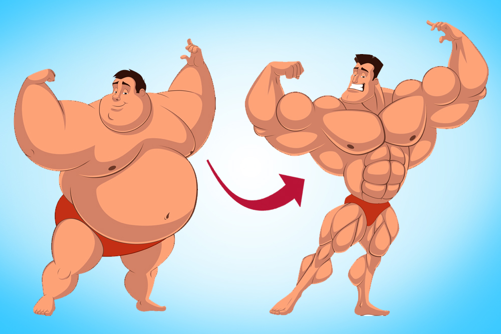 Fat vs Muscle: Can You Turn Fat Into Muscle Through ...