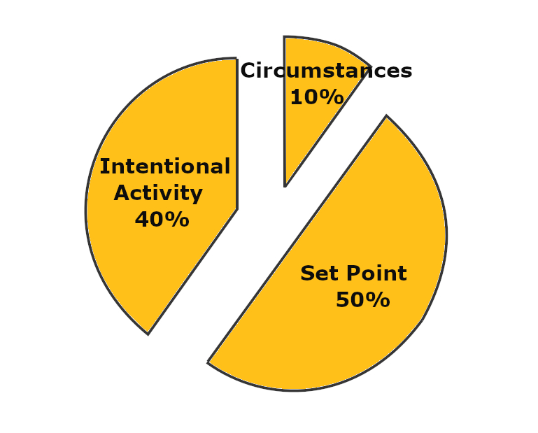 hedonic definition