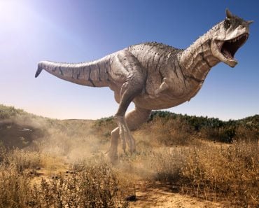 Carnotaurus charging through a field( Herschel Hoffmeyer)s