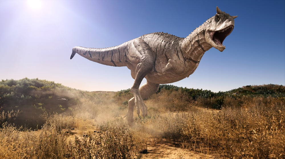 Carnotaurus charging through a field( Herschel Hoffmeyer)s