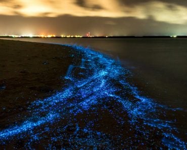 Illumination of plankton at Maldives. Many bright particles at the beach(PawelG Photo)s