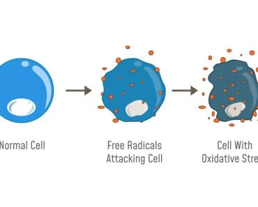 Oxidative Stress Diagram. Free radicals attacking cell(Fancy Tapis)s