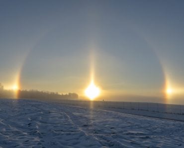 Sun Dog - Image( BILD LLC)S