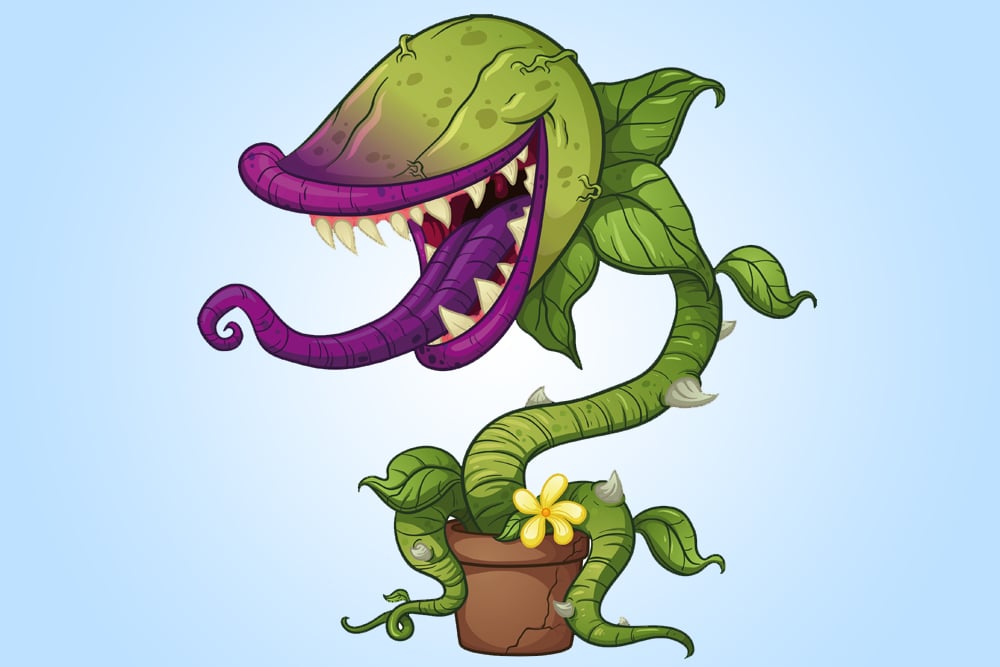 Cartoon carnivorous plant( Memo Angeles)s