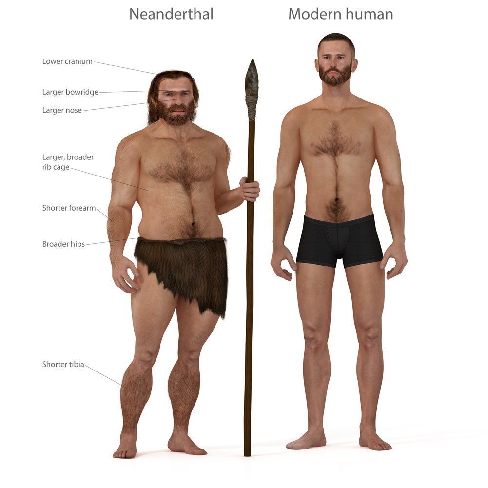  Ilustración digital y renderizado de un hombre de Neandertal (Nicolas Primola)s
