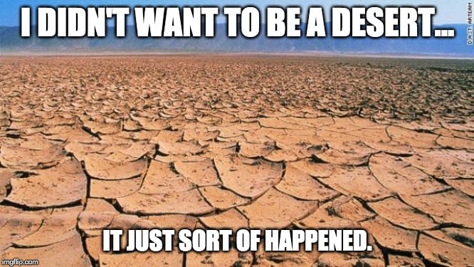 나는 사막이 되고 싶지 않았다.. 밈