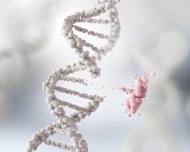 DNA helix break or Replace for concept of Genetic engineering(Anusorn Nakdee)s