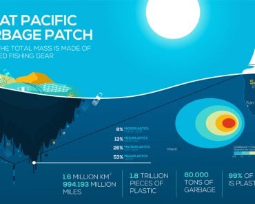 Global environmental problems infographics(Pro_Vector)s