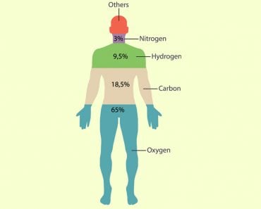 Human Composition(eenoki)S