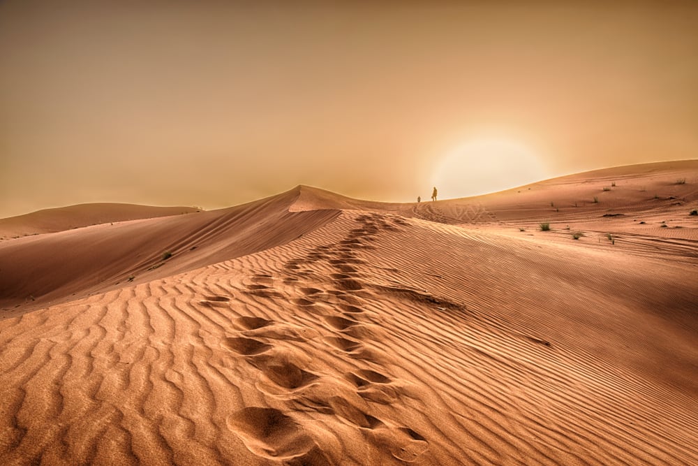 Sunset in the desert, Sunset in the desert in Dubai UAE(wessam Noufal)S